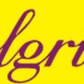 Логотип Летний лагерь Pilgrims Harrow School