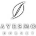 Логотип Clayesmore school (Частная школа Клейсмор)
