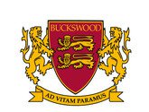 Летний лагерь Buckswood school