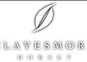 Clayesmore school (Частная школа Клейсмор)