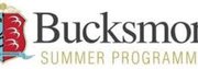 Летний лагерь Bucksmore King Edward's School (Баксмор школа Кинг Эдвардс) logo
