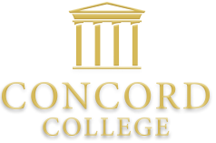 Concord College Summer Camp (Летний детский лагерь с верховой ездой в Англии) 