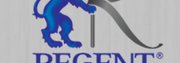 Regent Stowe School Summer Camp (Летний лагерь Regent Stowe School) logo